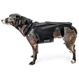 강아지 척추 보호대 허리 디스크 보조기, M(척추보호대+스트랩), 1개