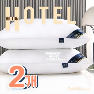 DeLINE 힐튼호텔 고중량 마이크로필에버 향균 베개 [20만판매기념], #01.오리지널, 2개