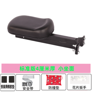 세발 전기자전거 삼륜 전동 2인용 3인용 접이식 등하원 2인승 8a 30km, V6 소형 시트 블랙