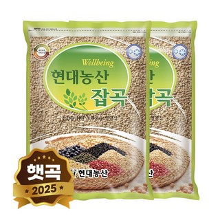 현대농산 국산 늘보리 소포장 4kg, 2개, 2kg