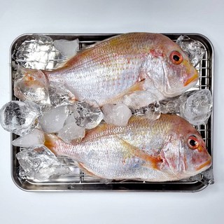 바다예찬 제주 황돔 꽃돔 1kg이상 (3~4마리), 1세트, 1kg
