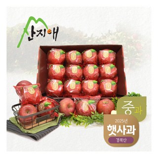 [2025년산] 산지애 씻어나온 햇사과 3kg 1box (중과), 단품, 상세 설명 참조