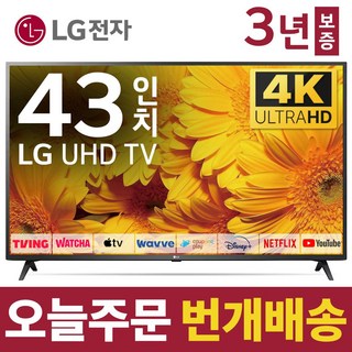 2. LG전자 43인..