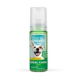 트로피크린 후레쉬민트 거품치약 133ml 강아지 구강청결제, 1개