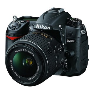 니콘 카메라 D7000 사용 모습
