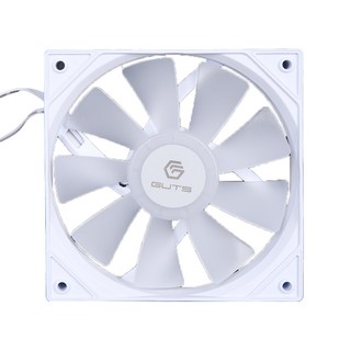 몬스타 가츠 X620A WHITE 리버스 벌크