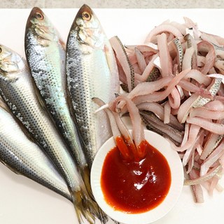 전어 가을전어 생선 전어회 전어구이, 1kg, 1박스
