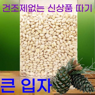 춘게엘 대립 잣 생잣 도매 신선한 원물 견과류 526호 Cc0BYB, 1개, 500g