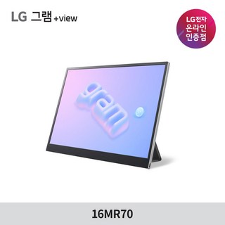 LG전자 WQXGA 그램 +View 모니터