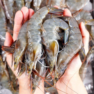 전라도청년 당일조업 산지직송 신안군 흰다리새우 1kg(35미 내외), 1개