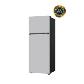 LG전자 일반냉장고 461L 2도어 D463MRR33 크림그레이 기사설치 폐가전수거 사다리차