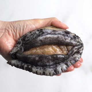 완도사랑 싱싱할 활 전복 1kg, 1개, (중전복) 17-19미 (손질칼 증정), 1kg