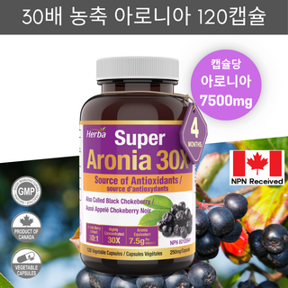 아로니아 정 7500mg 120정 식물성 캡슐 – 30배 농축 고함량, 안토시아닌 함유, 캐나다산