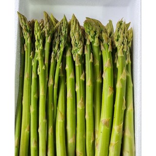 강원도 양구 생 아스파라거스 1 kg 국내산, 1박스, 1.2kg(파지), 1.2kg