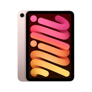 애플 아이패드 미니 6세대 핑크 와이파이 64GB 관부가세포함, Wi-Fi, 기본