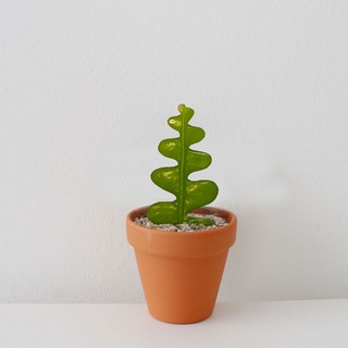 피쉬본 생선뼈 선인장 키우기 인테리어식물 독일토분_오리지널 황토 1개 상품 이미지