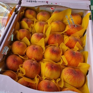 경북 청도 달콤한 황도 복숭아, 1박스, 1.5kg (대과)