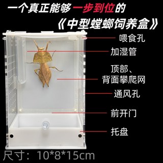 사마귀 사육 상자 자석식 문 조경용 생체 곤충 청개구리 파충류 귀뚜라미 거미 반려동물, 1단계 중형 사마귀 번식 상자