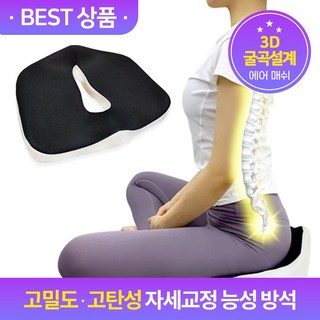 닥터포그미 치질방석