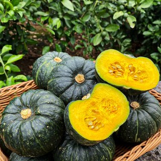 천하일품 첫물 제주 미니(밤)단호박 2~10kg, 03.미니(밤)단호박 3kg 특품(6-11개), 1개