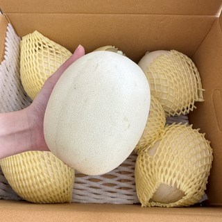 고당도 고급메론 설향메론5kg(6-10과) 선물용 참외 한달만출하 제철과일, 1개, 설향 멜론 3kg (2~4과)