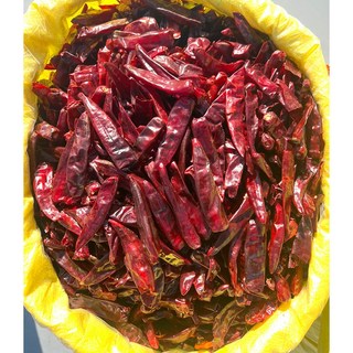 2024년 햇 중국산 금탑(중간) 건고추 1kg, 1개