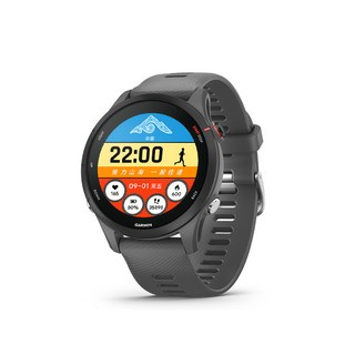 가민 포러너 255 러닝 스마트워치 GPS 심박수 마라톤 자전거 수영 다기능 스포츠워치 Garmin Forerunner 255, 3.3cm, 슬레이트 그레이