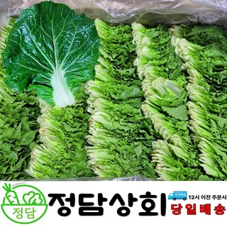 [ 정담상회 ] 국내산 쌈추 쌈배추 쌈야채 쌈채소 2kg 내외, 1박스