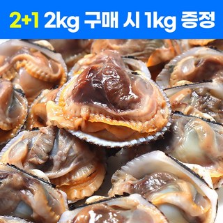 가성비 국내산 새꼬막 산지직송 당일수확 당일발송 3kg 6kg 10kg, 1세트, 2kg+1kg