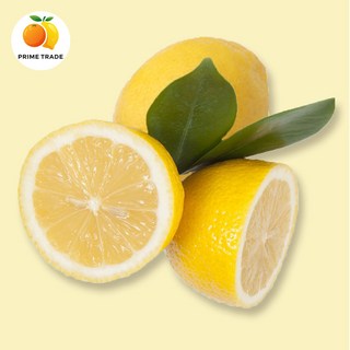 [프라임농장] 정품 팬시 생레몬 특대과 2.8kg (20개), 1박스, 특대과 2.8kg이내(20개)