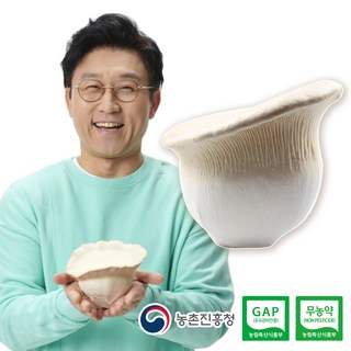 명품 무농약 황제버섯 100% 국산 산지직송 친환경 버섯, 1세트, 600g