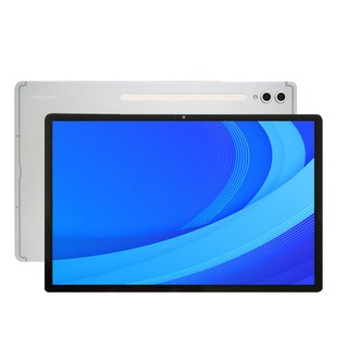 삼성전자 갤럭시탭 S10 플러스 256GB/512GB, Wi-Fi, 256GB, 플래티넘 실버
