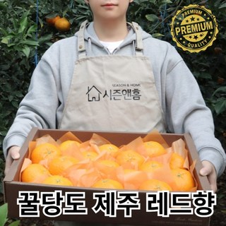 시즌앤홈 제주 고당도 산지직송 프리미엄 레드향 3kg 5kg 제주도 과일 명절 설날 선물 세트, 레드향 선물용(고급) 3kg, 1박스, (7-16과)