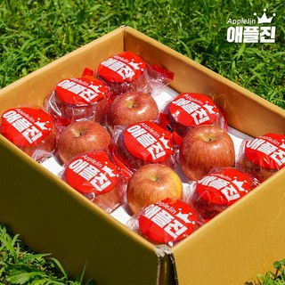 [애플진] 경북직송 꿀사과