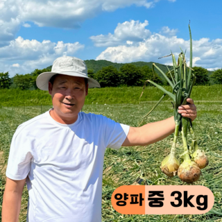만근농장 국내산 햇양파, 1개, 3kg(중)