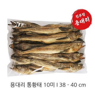 용대리 자연건조 통황태 통북어 38-50 cm 크기별 대부터 왕특까지 10마리, 1개, 통황태 38-40cm 10마리