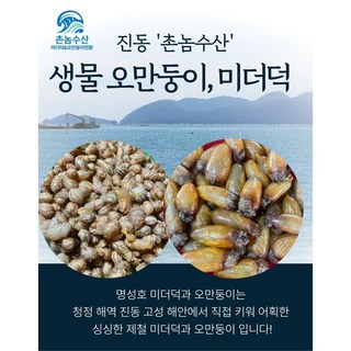 [당일조업] 제철 미더덕 참미더덕 오만둥이 오만디 국내산 직배송, 1개, 냉동(오만둥이)1kg
