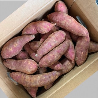 파머스넷 긴 고구마, 10kg 긴중상(60g~120g), 1개