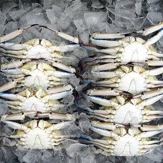 대천해 가을 생물꽃게 2kg(7~10미), 1박스, 2kg