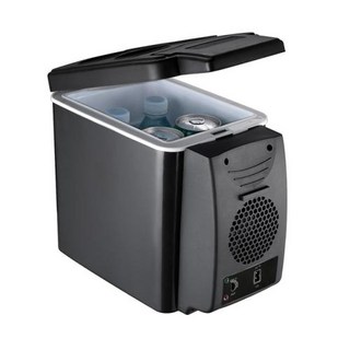 알피콜 차량 냉장고 캠핑 차량용 냉동고 용품 휴대용 미니 8L 12V220V 냉온수 듀얼 사용 자동차 트럭 주방 가정용 피크닉 저소음, Black, Black