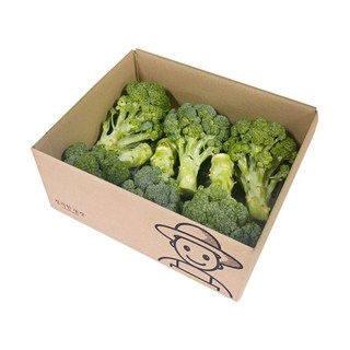 정직한농장 국내산 브로콜리, 280g, 6개