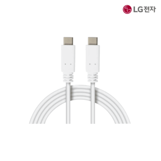 LG 정품 16MQ70.ASDK 16MR70.ASDK 16MR70.CSDK 그램뷰 C to C 케이블 화이트 240W 1.5M, 1개