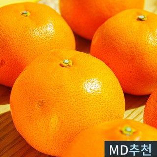당도선별 고당도 제주 감귤, 1박스, 귤 5KG