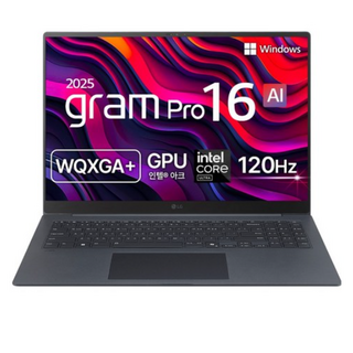 LG그램 17ZD90Q-GX7BK SSD 1TB
