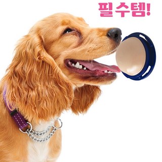 대형견 강아지용 벽 사탕 도그츕스 펫 간식 L 싱글족, 1개