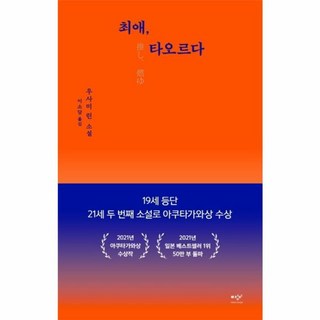 최애 타오르다: 우사미 린 소설