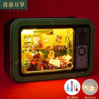 미니어쳐 미니어처하우스 DIY 레트로 티비 만들기 조립 모형 키트 장식 선물 입체 퍼즐, 청춘만세, 1개
