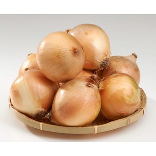 [오늘야채]25년 창녕 햇양파(중) 산지직송, 1개, 5kg (중)