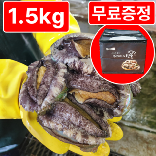 [활전복 산지직송] 완도 직거래 전복선물세트 왕특대, 1개, 대(21-23미) 1.5kg