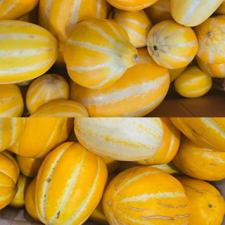 산지직송 성주참외 꿀참외 당도선별, 1개, 못난이 랜덤&혼합 참외 10kg